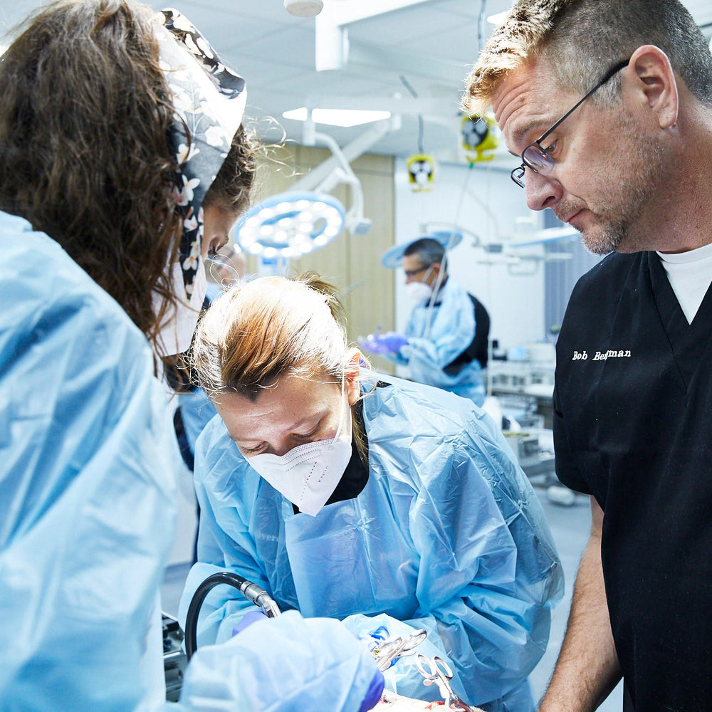 Advanced neurology course Level II - April 21st - 23rd 2026