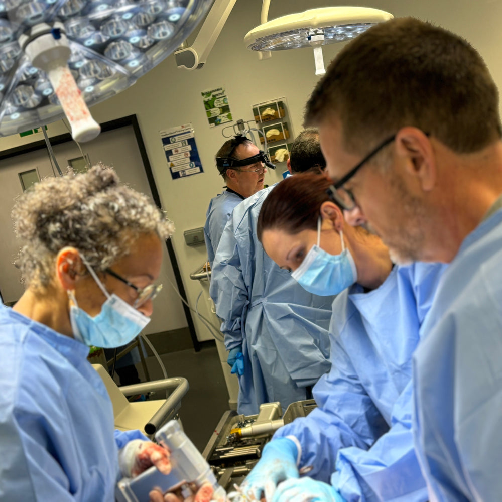 Advanced neurology course Level I - April 21st - 23rd 2026