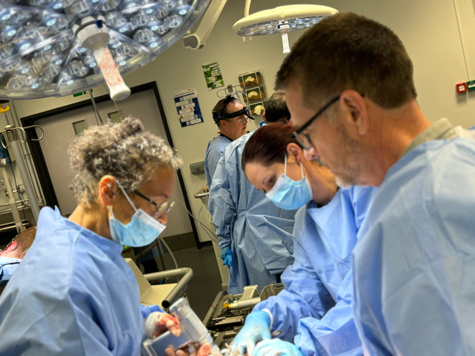 Advanced neurology course Level I - April 21st - 23rd 2026