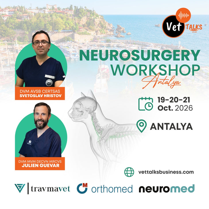 Advanced Neurosurgery Workshop - Antalya